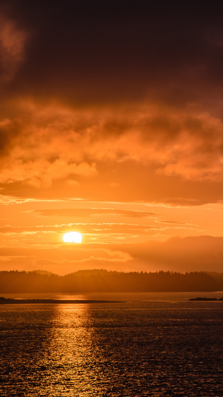 Обои закат, послесвечение, горизонт, облако, восход солнца в разрешении 750x1334