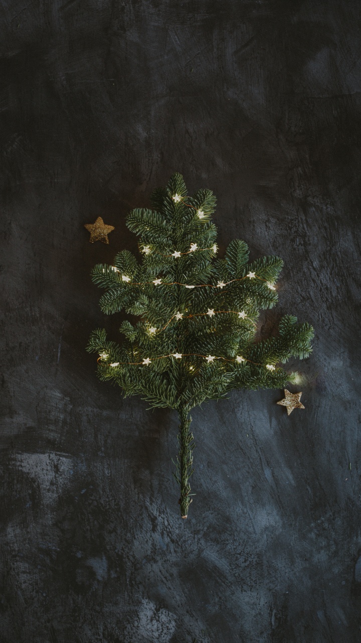 Обои дерево, растение, ветвь, космос, текстура в разрешении 720x1280