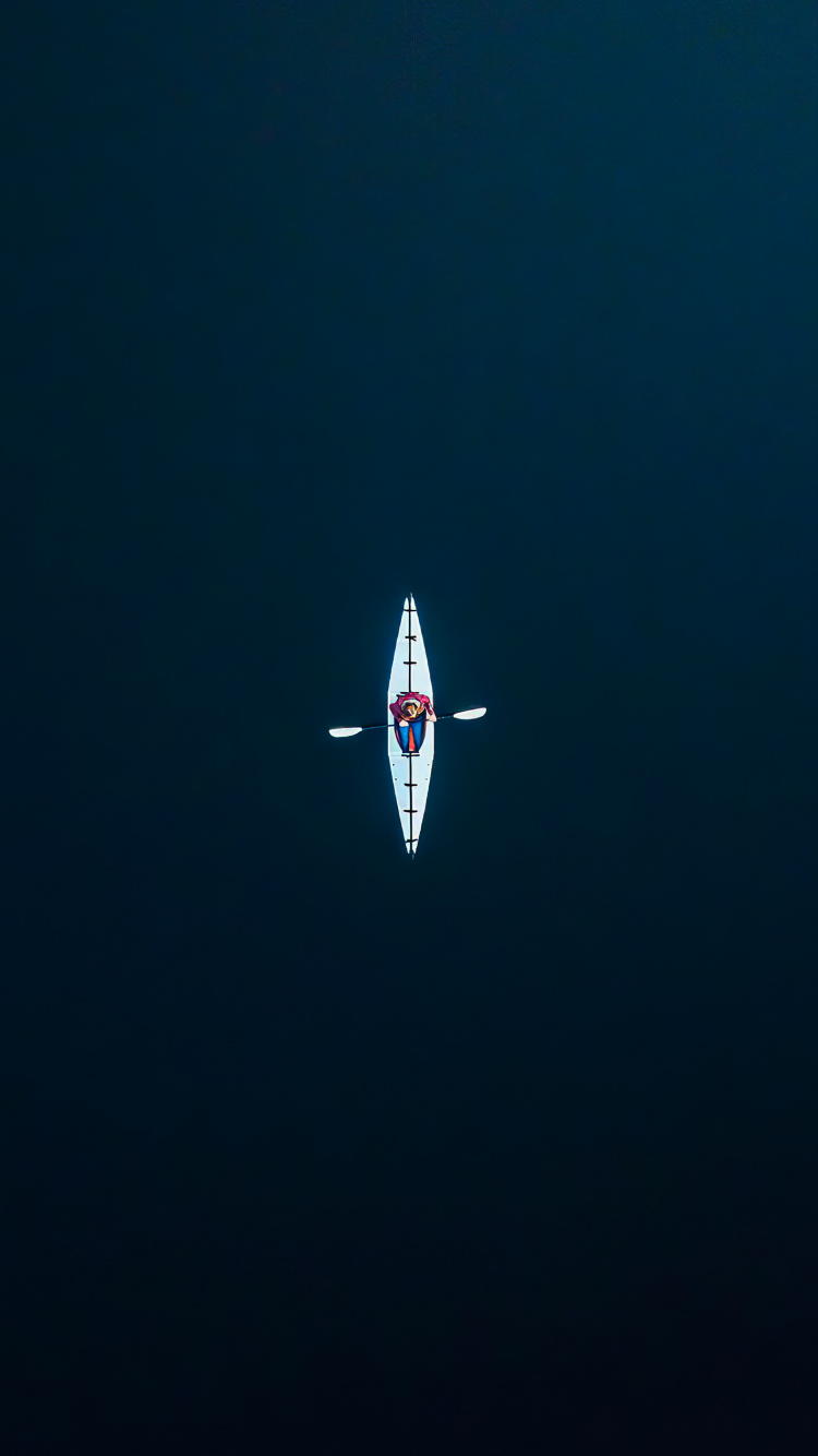 Обои самолеты, флаг, воздушное путешествие, авиация, электрик в разрешении 750x1334