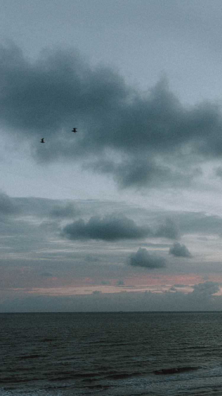 Обои море, облако, вода, атмосфера, птица в разрешении 750x1334