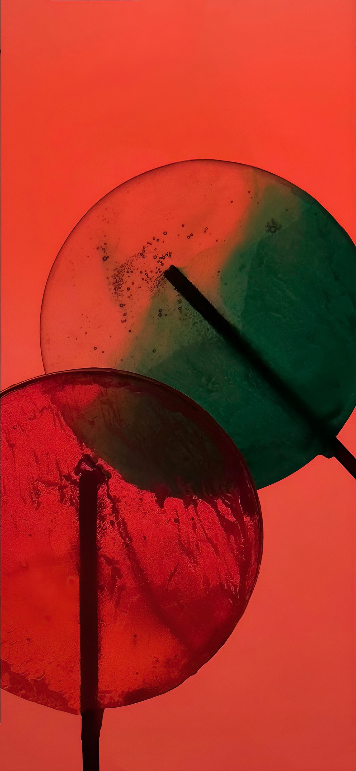 Обои iPhone 14, iPhone 14 Pro, яблоко, смартфон, космический черный в разрешении 1242x2688