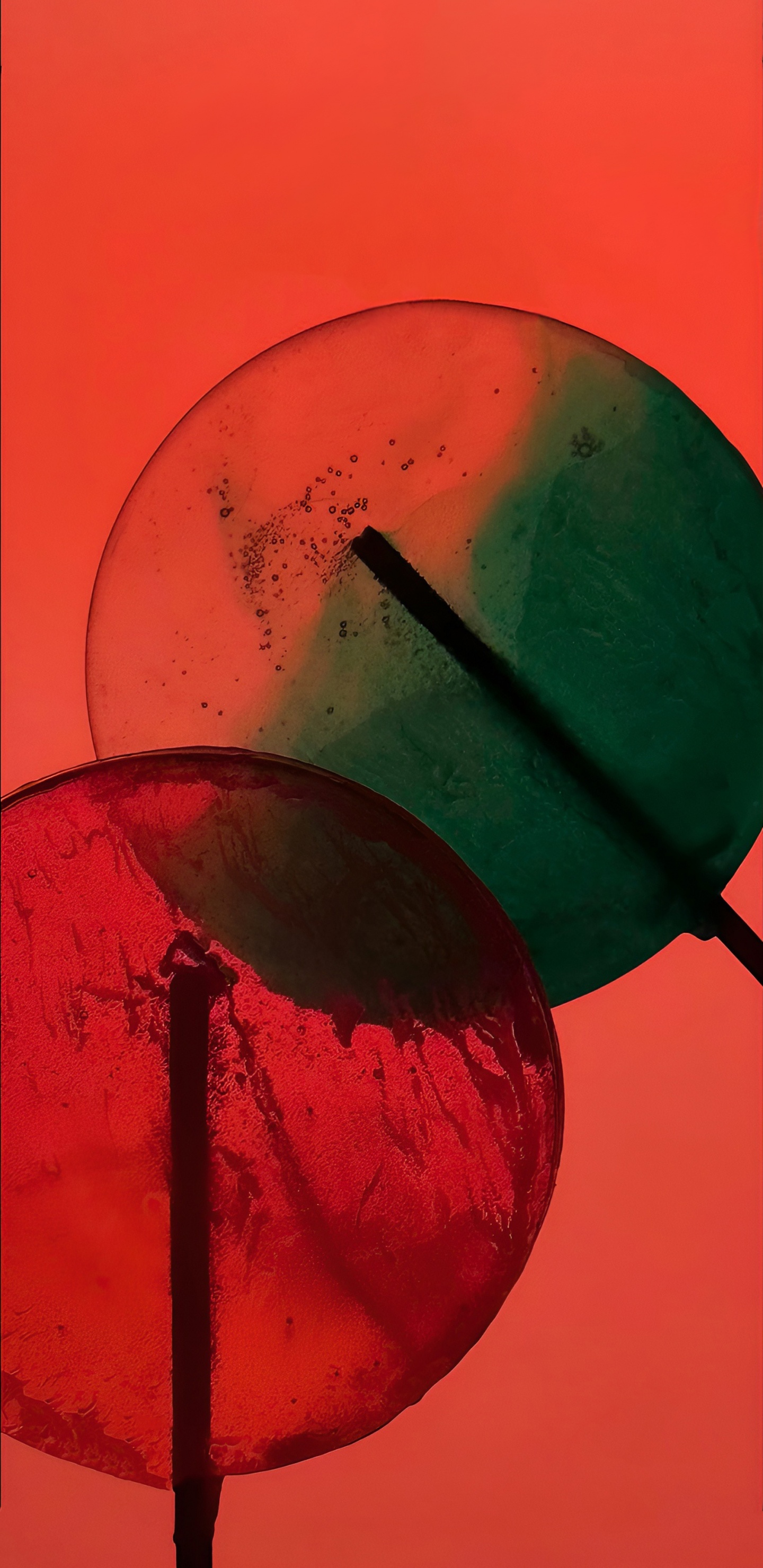 Обои iPhone 14, iPhone 14 Pro, яблоко, смартфон, космический черный в разрешении 1440x2960