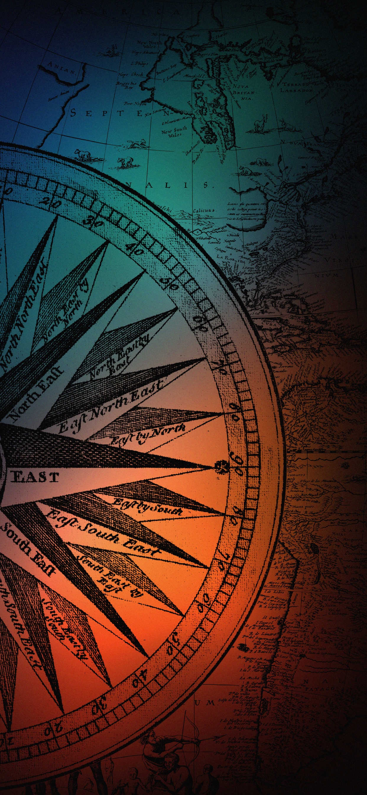 Обои ветвь, электричество, арт, полутона и оттенки, круг в разрешении 1242x2688
