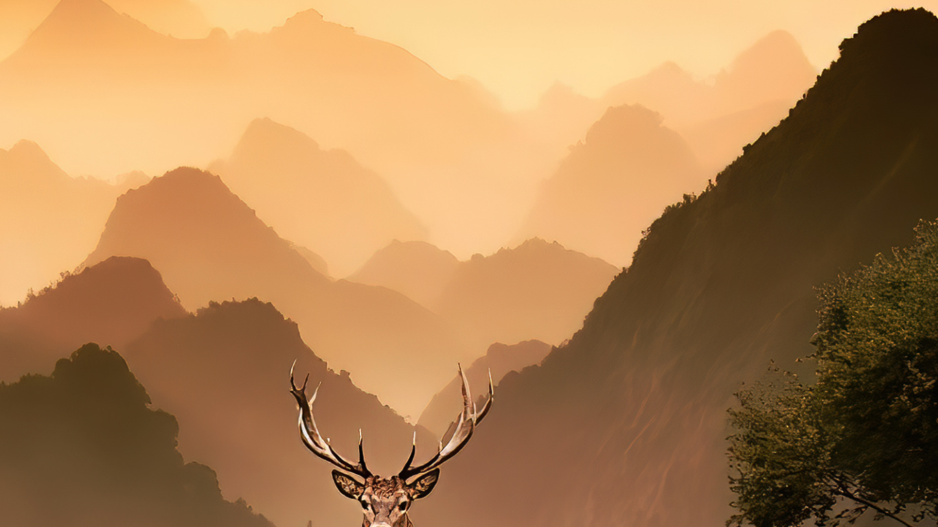 Обои гора, экорегион, природный ландшафт, окружающая среда, нагорье в разрешении 1366x768