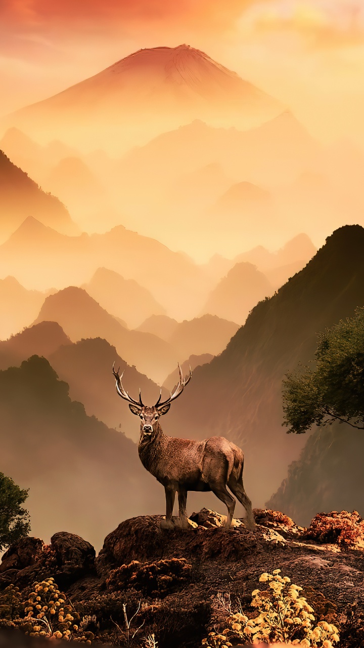 Обои гора, экорегион, природный ландшафт, окружающая среда, нагорье в разрешении 720x1280