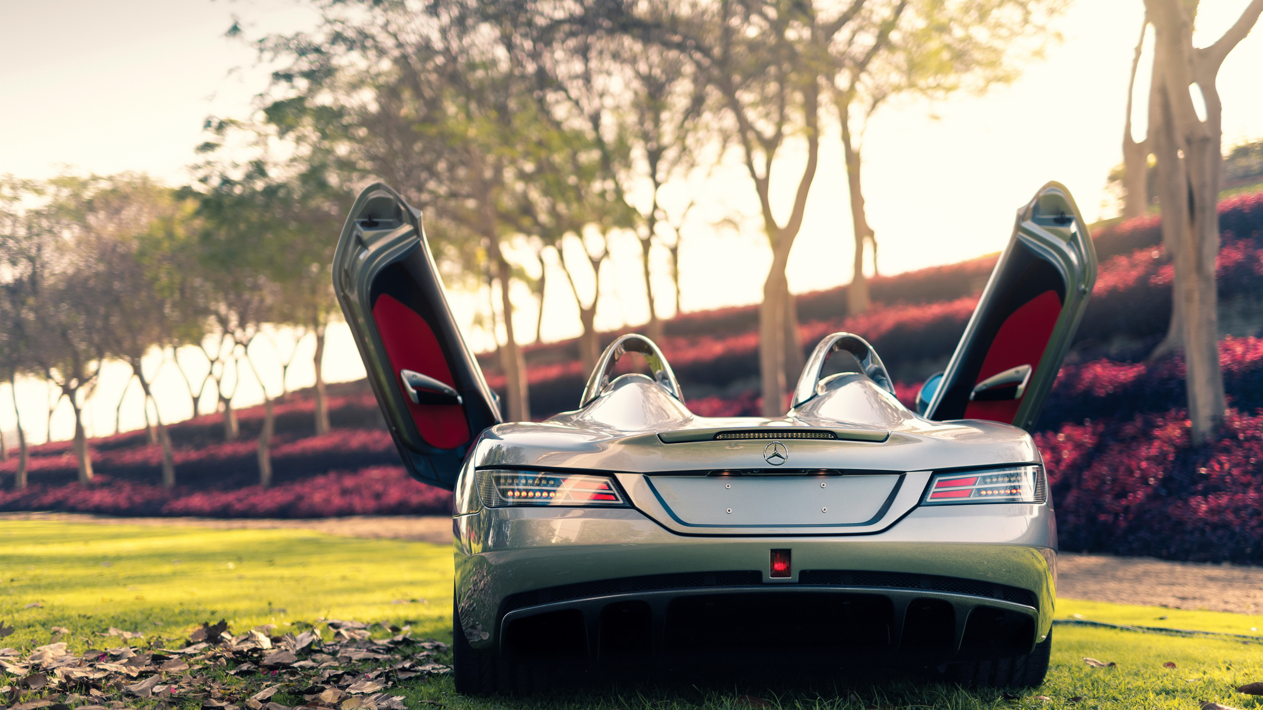 Обои Mercedes-Benz SLR McLaren, суперкар, авто, дерево, автомобильный экстерьер в разрешении 2560x1440