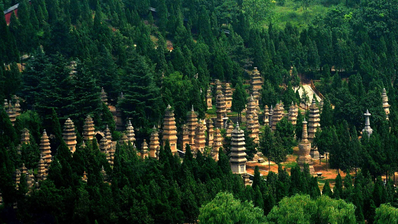 Обои Лес пагоды в храме Шаолинь, пагода, храм, растительность, лес в разрешении 1366x768