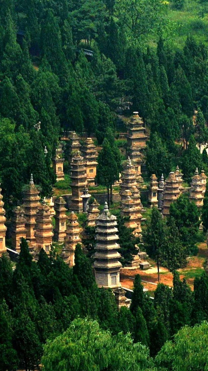 Обои Лес пагоды в храме Шаолинь, пагода, храм, растительность, лес в разрешении 720x1280