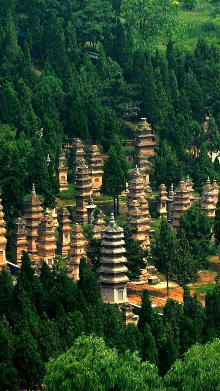 Обои Лес пагоды в храме Шаолинь, пагода, храм, растительность, лес в разрешении 750x1334