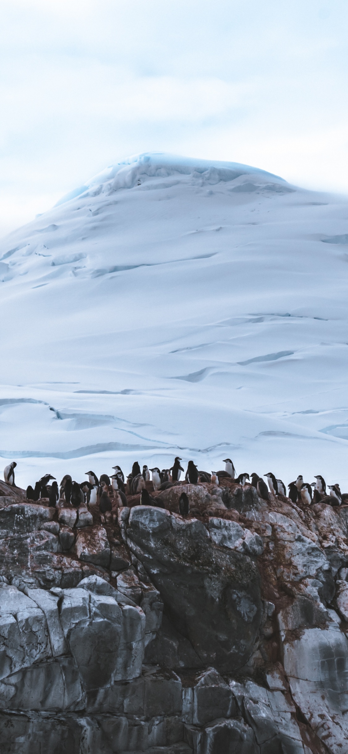 Обои ледник, гора, ледяная форма, горный хребет, снег в разрешении 1125x2436