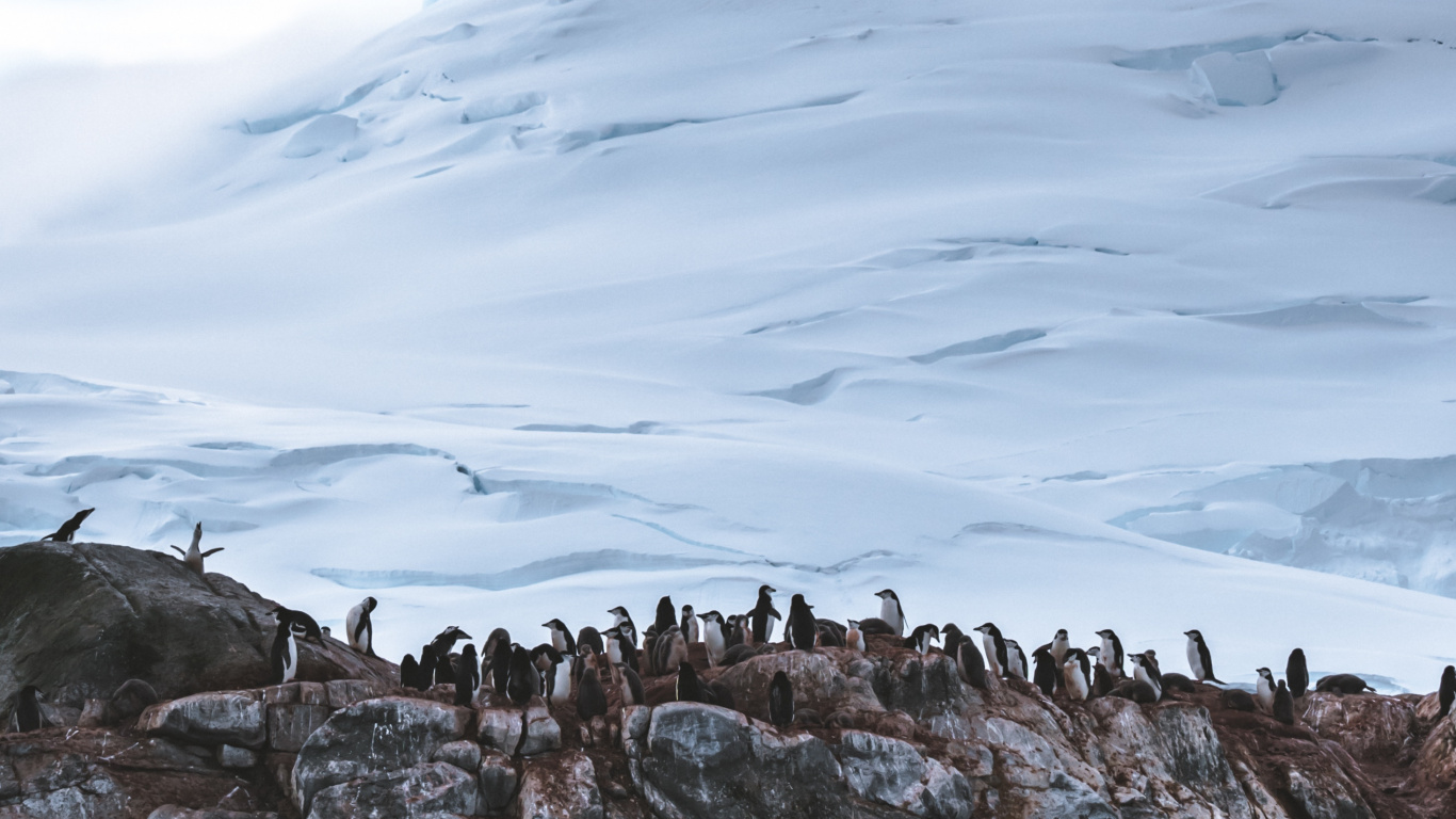 Обои ледник, гора, ледяная форма, горный хребет, снег в разрешении 1366x768