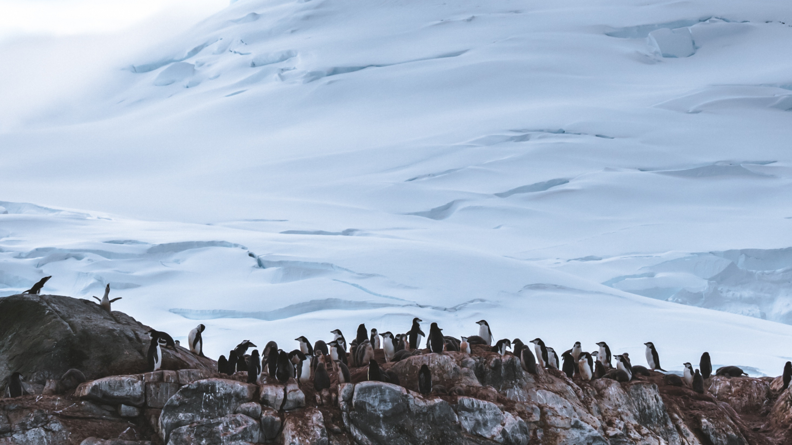 Обои ледник, гора, ледяная форма, горный хребет, снег в разрешении 2560x1440