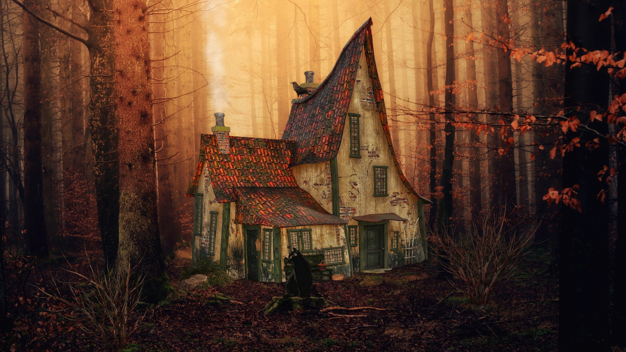 Обои атмосфера, растение, окно, здание, древесина в разрешении 1280x720