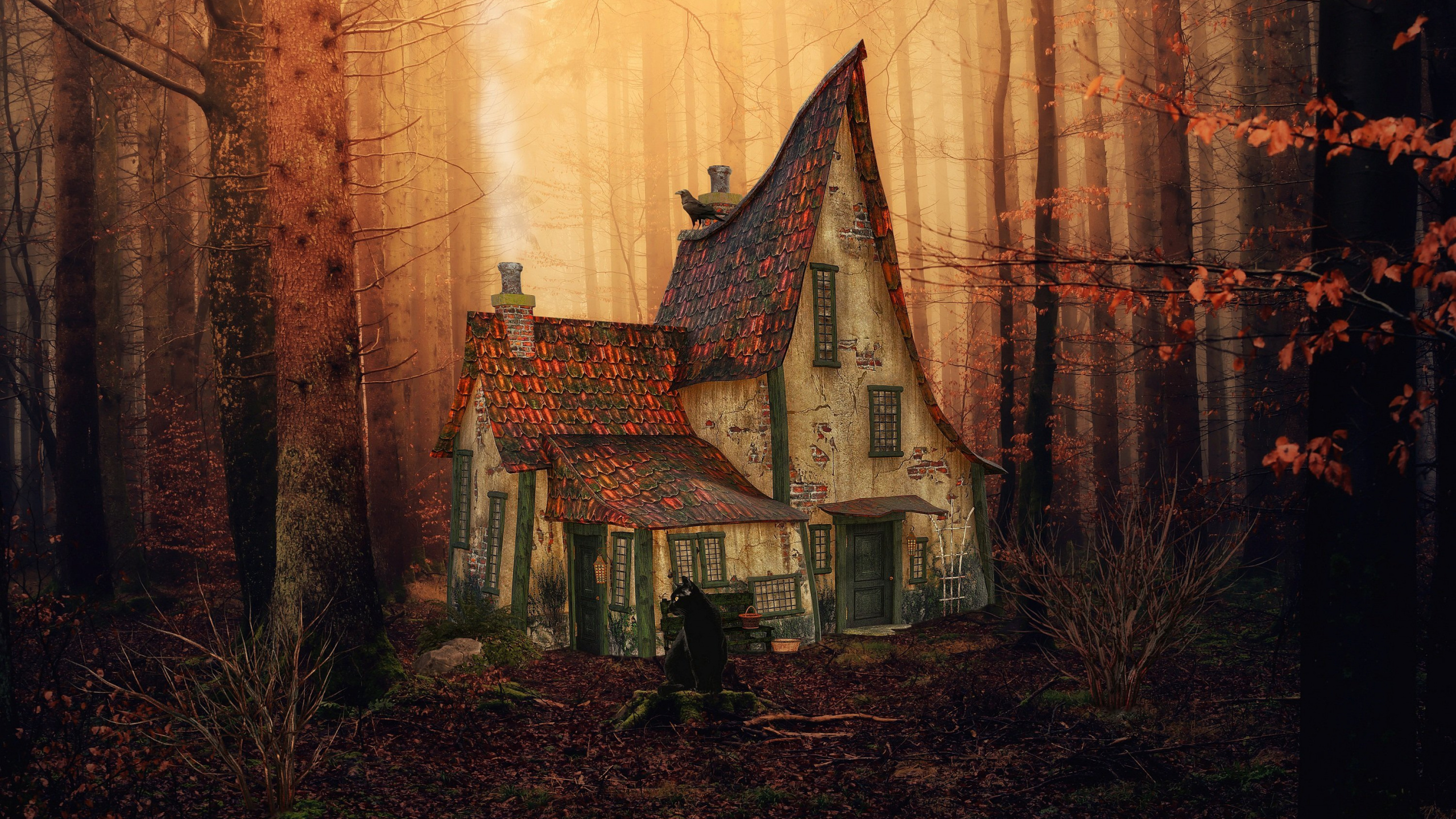 Обои атмосфера, растение, окно, здание, древесина в разрешении 2560x1440