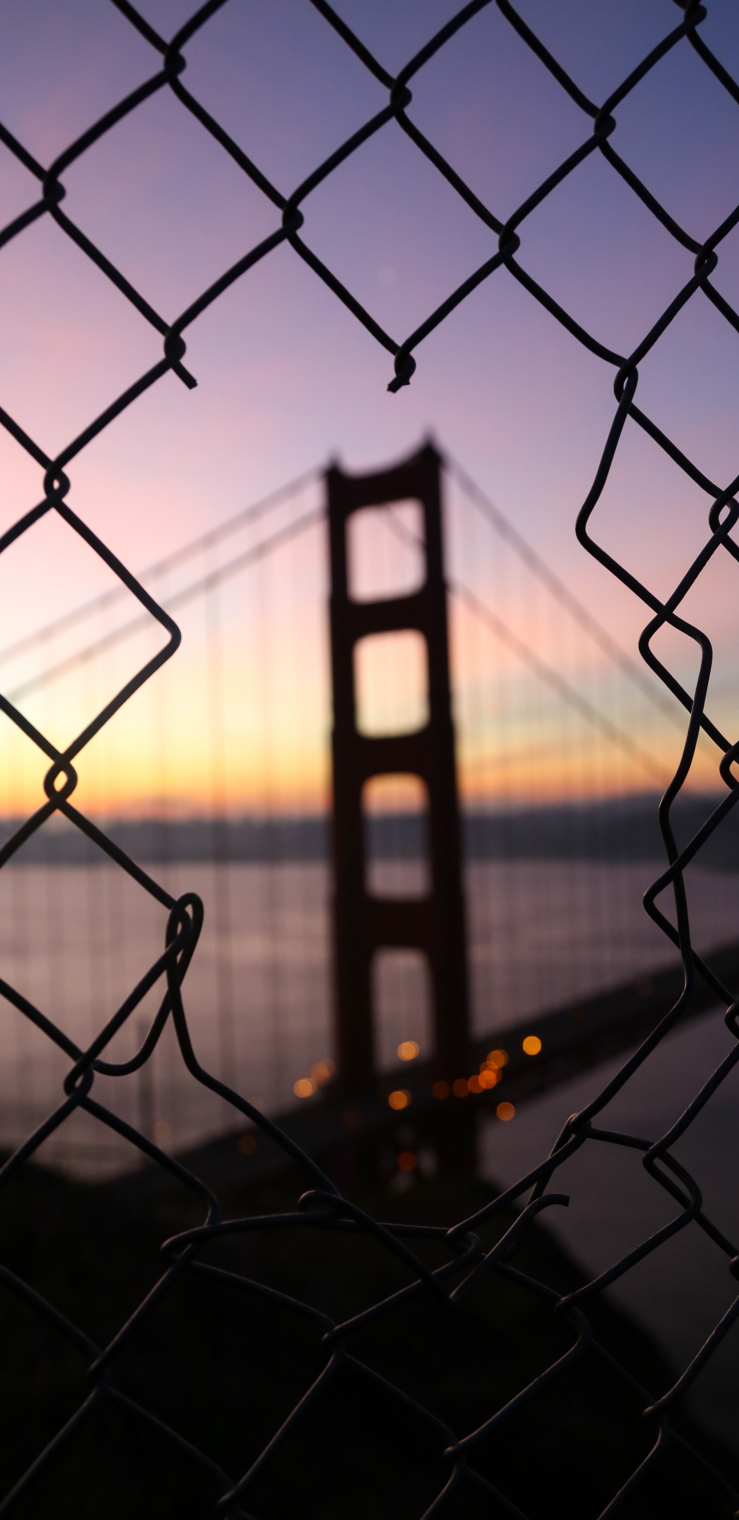 Обои мост Golden Gate, мост, забор, ограждать провода, закат в разрешении 1440x2960