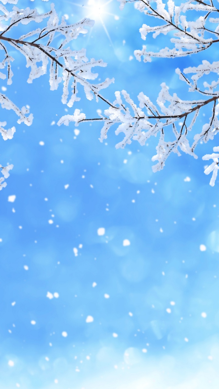 Обои снег, зима, синий, дневное время, ветвь в разрешении 720x1280