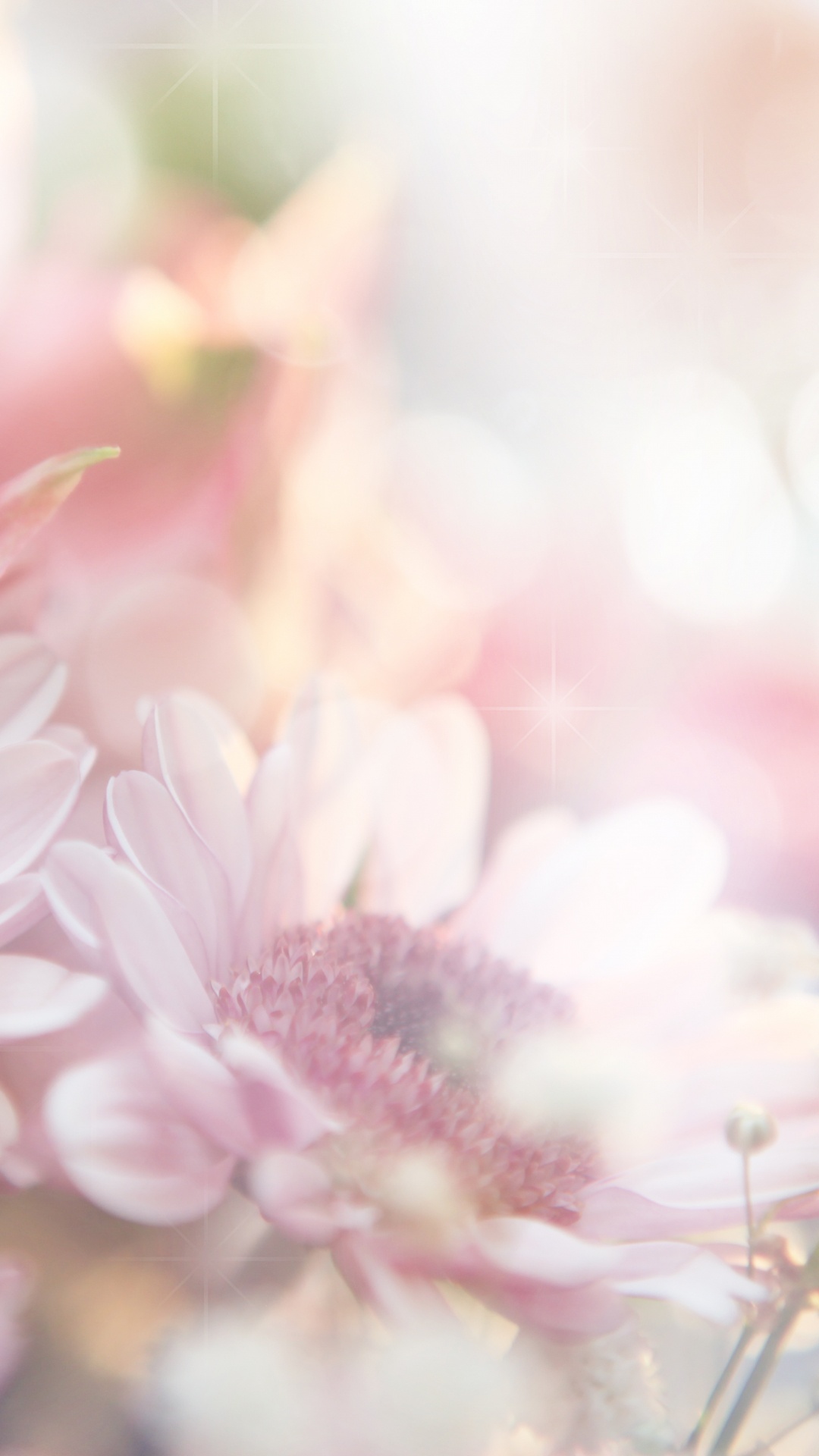 Обои цветочный букет, цветок, розовый, розовые цветы, весна в разрешении 1080x1920