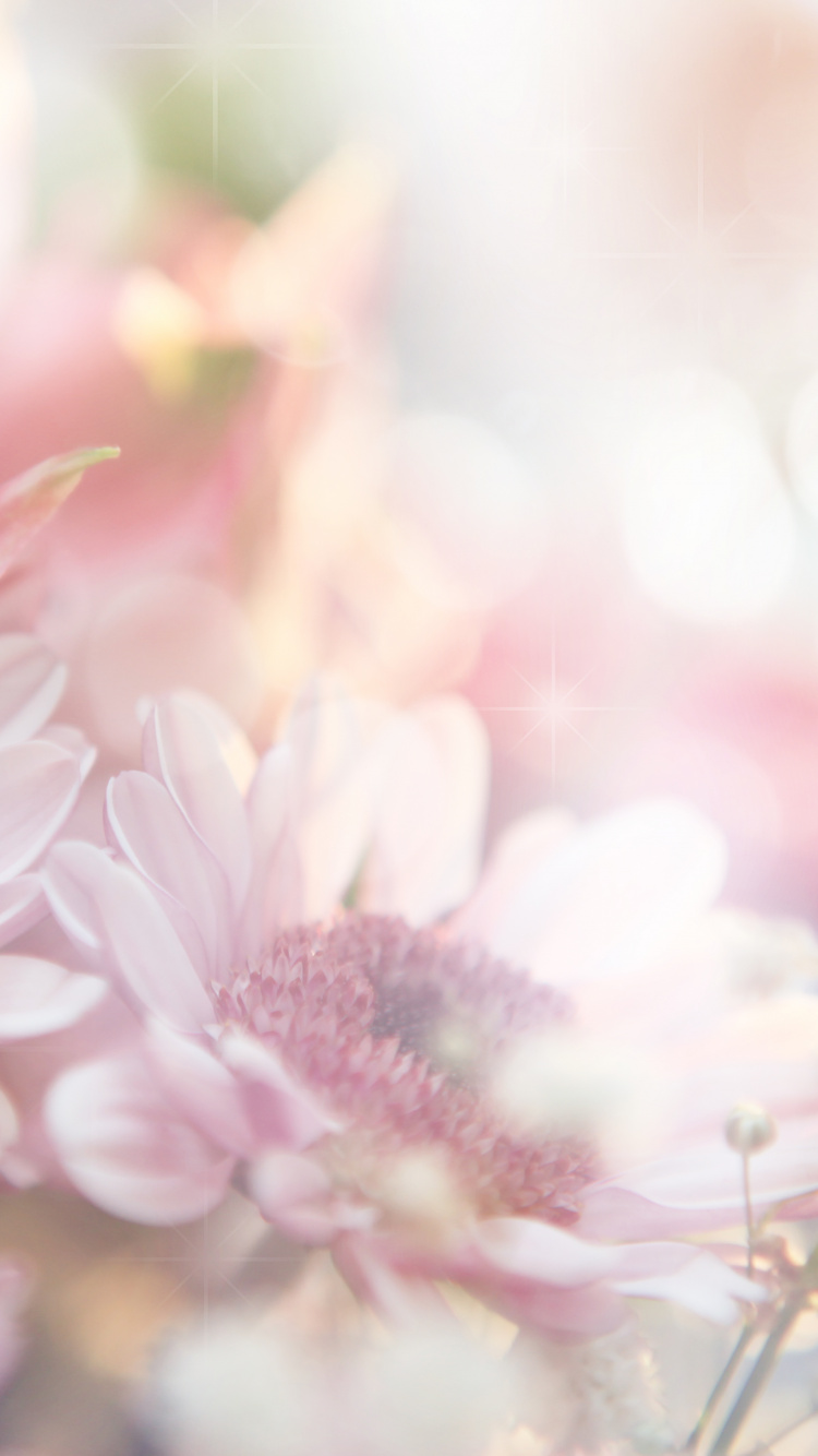 Обои цветочный букет, цветок, розовый, розовые цветы, весна в разрешении 750x1334