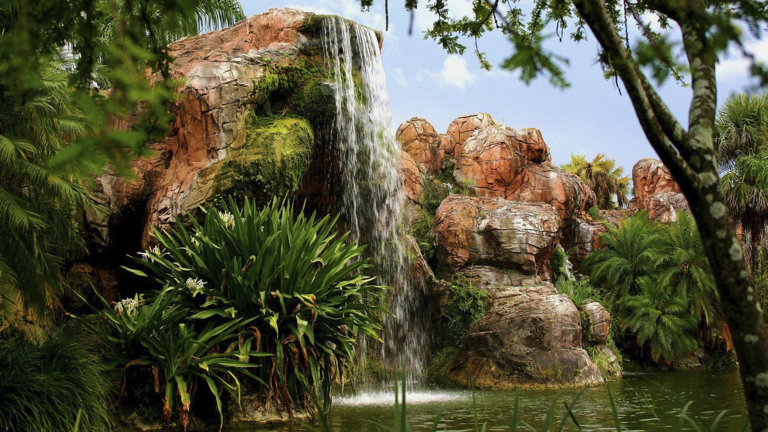 Обои водопад, природа, растительность, вода, природный заповедник в разрешении 2560x1440