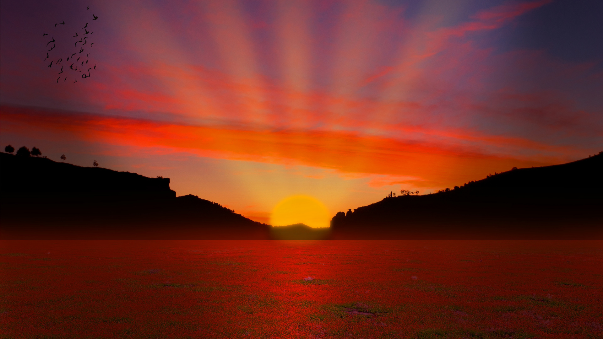 Обои закат, послесвечение, горизонт, восход солнца, спокойствие в разрешении 1920x1080