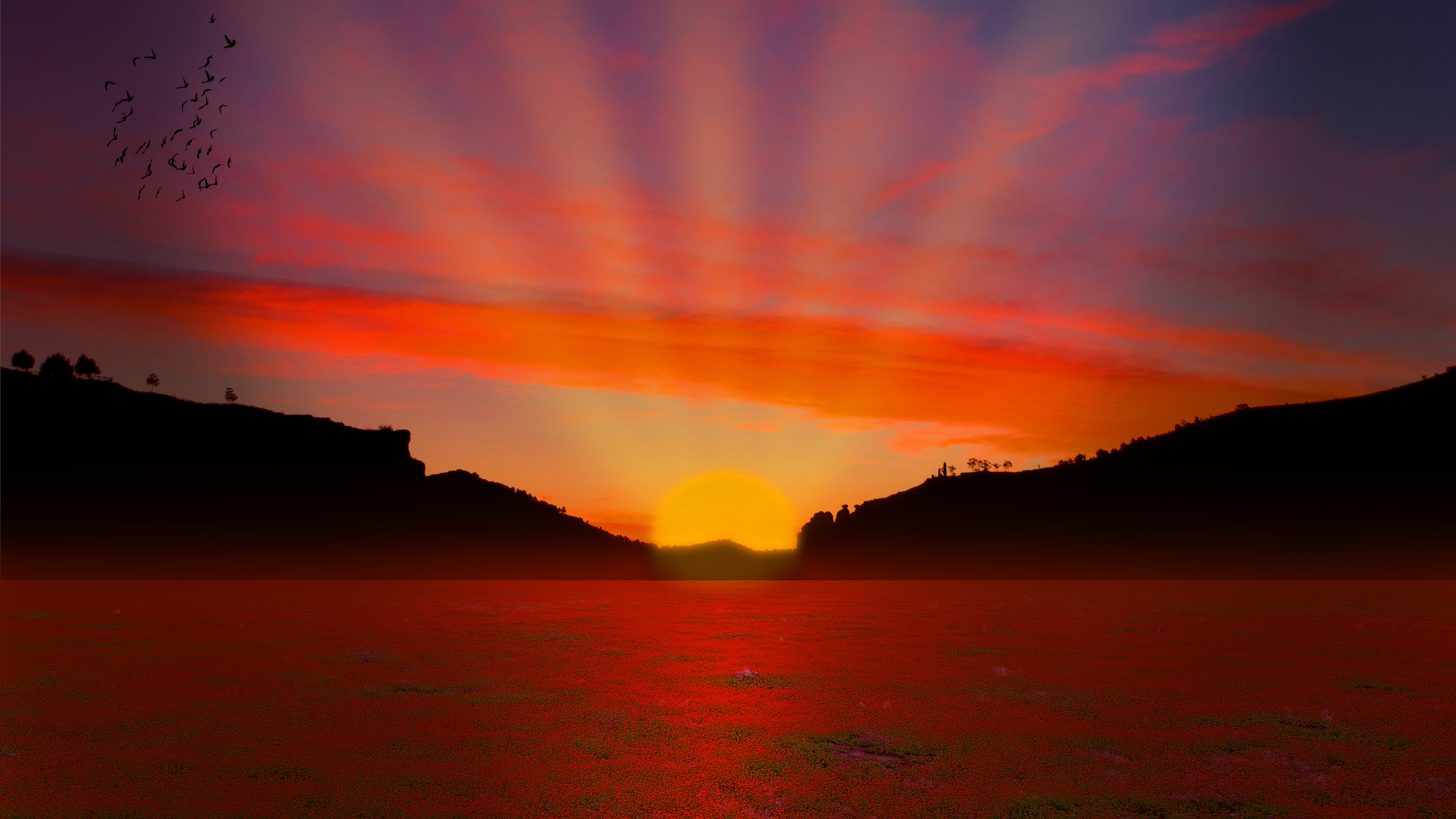 Обои закат, послесвечение, горизонт, восход солнца, спокойствие в разрешении 2560x1440