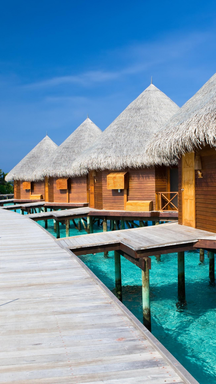 Обои свойство, все включено курорт, прибежище, тропическая зона, отпуск в разрешении 750x1334