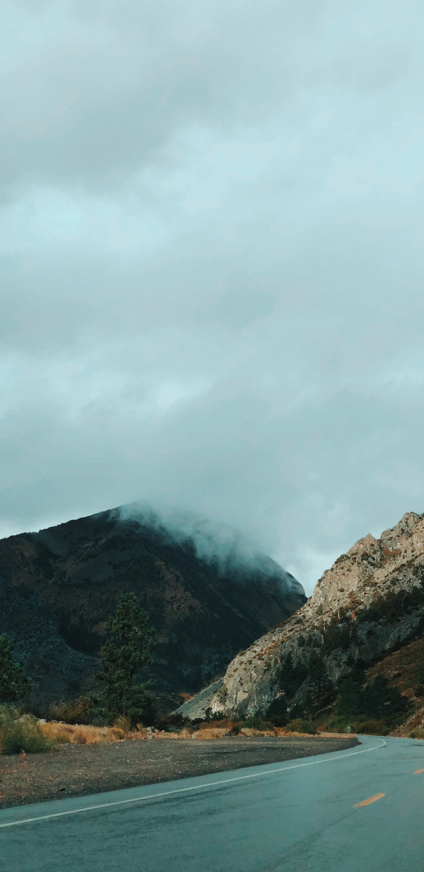 Обои Калифорния, США, йосемити, горный рельеф, нагорье в разрешении 1440x2960