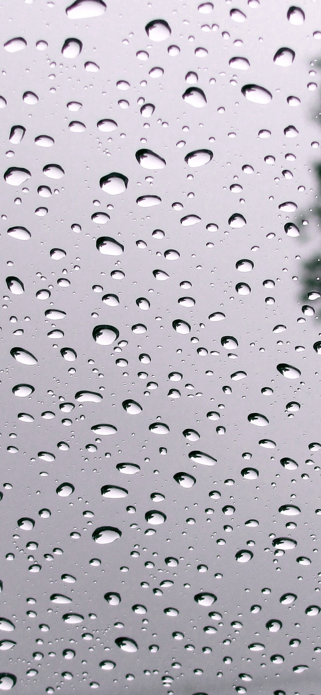 Обои ура идет дождь, вода, жидкий, жидкость, мелкий дождь в разрешении 1125x2436