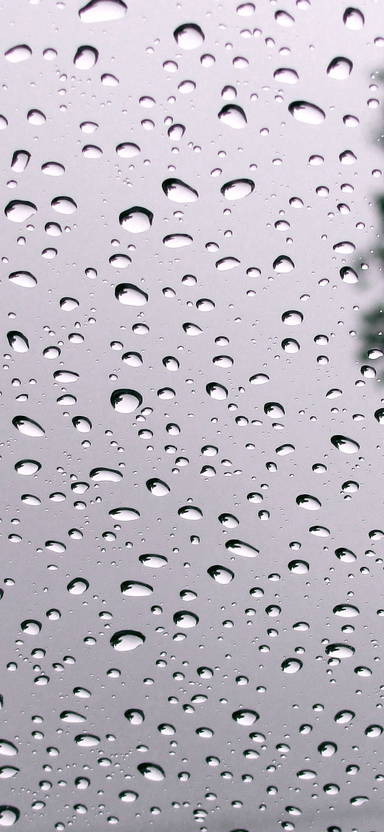 Обои ура идет дождь, вода, жидкий, жидкость, мелкий дождь в разрешении 1242x2688