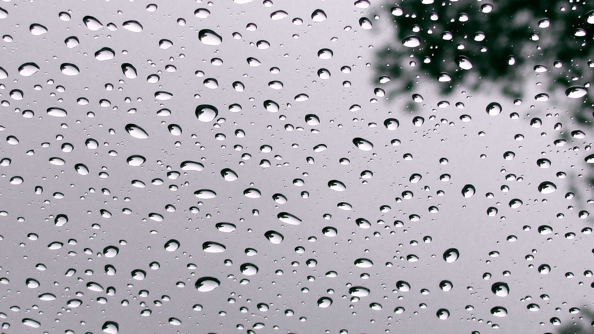 Обои ура идет дождь, вода, жидкий, жидкость, мелкий дождь в разрешении 1920x1080