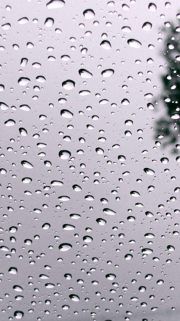 Обои ура идет дождь, вода, жидкий, жидкость, мелкий дождь в разрешении 720x1280