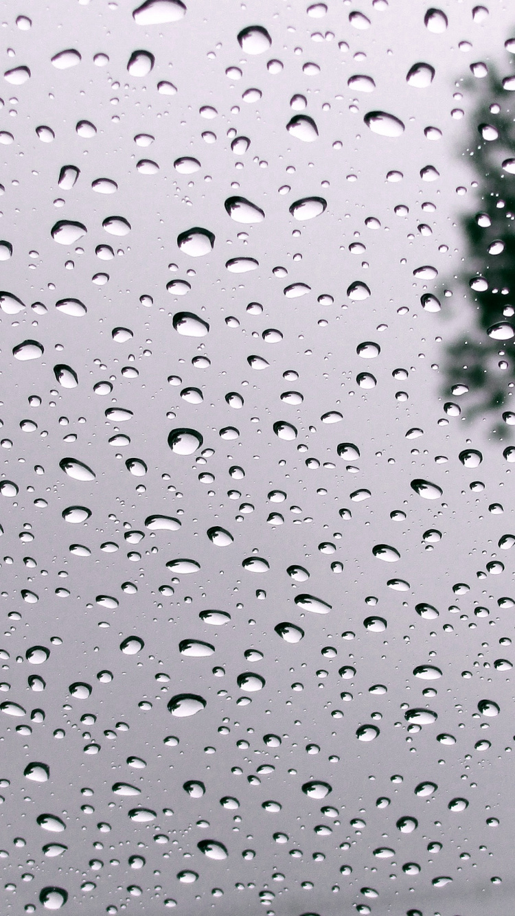 Обои ура идет дождь, вода, жидкий, жидкость, мелкий дождь в разрешении 750x1334