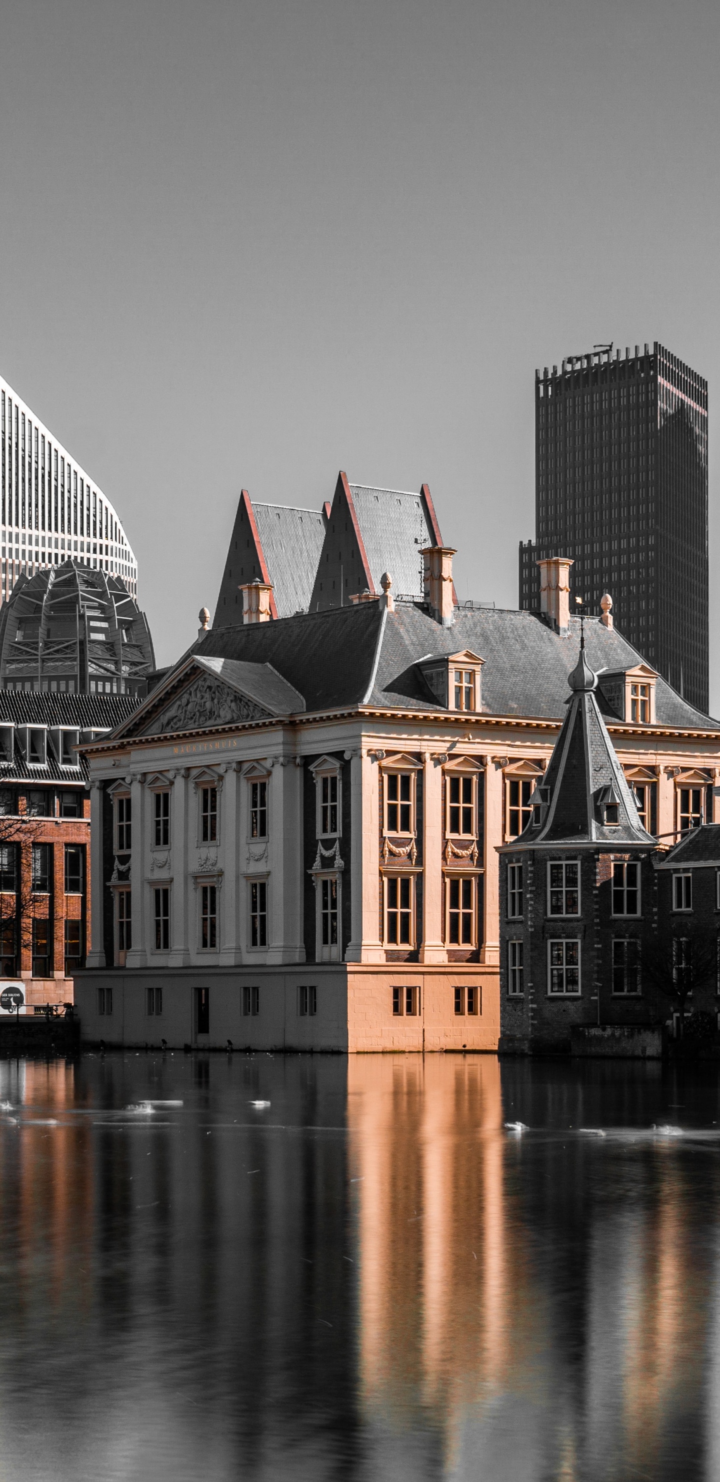 Обои Нидерланды, Маурицхёйс, музей, арт, художественный музей в разрешении 1440x2960