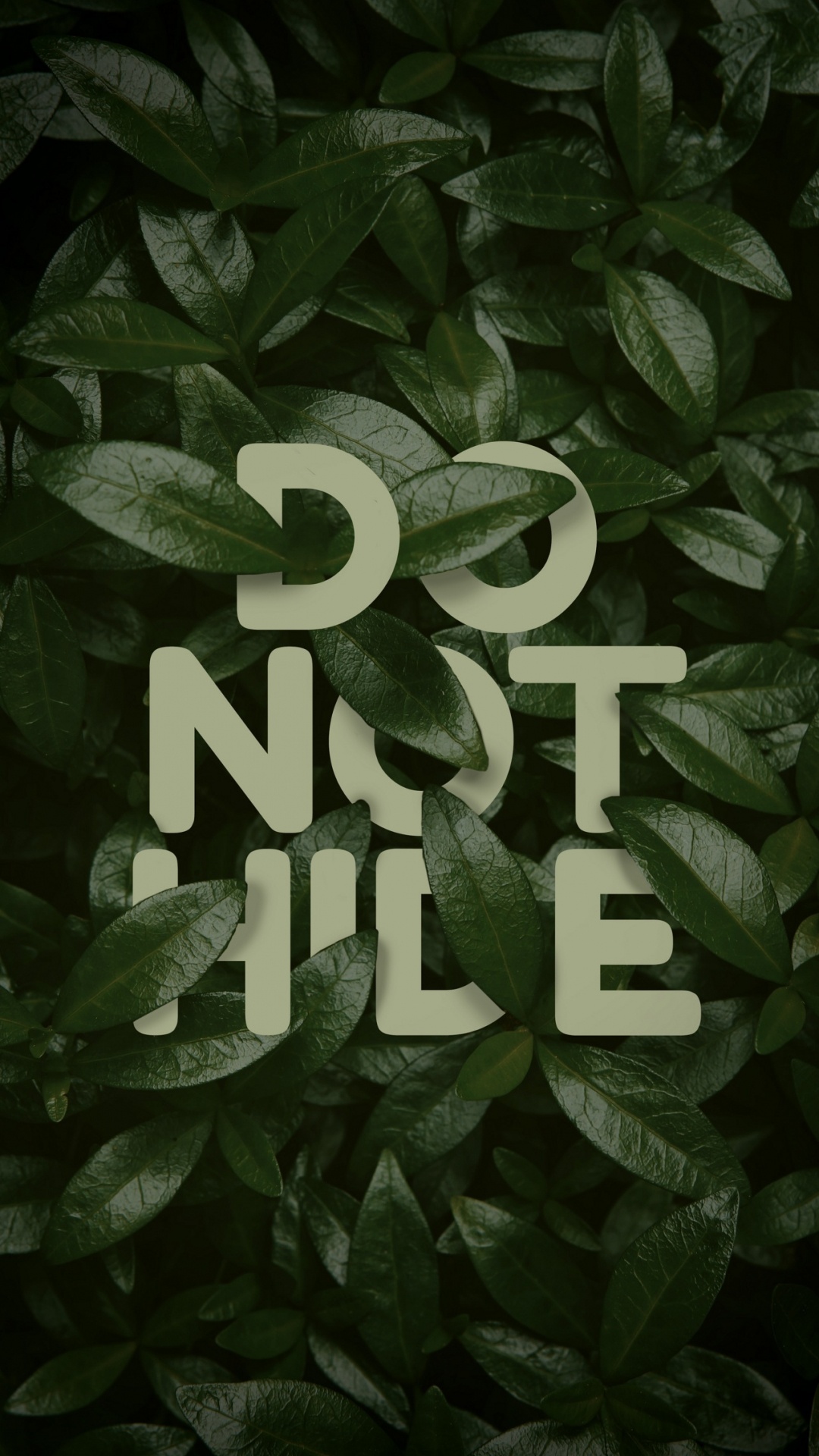 Обои любовь против дизайна, растение, наземное растение, публикация, узор в разрешении 1080x1920