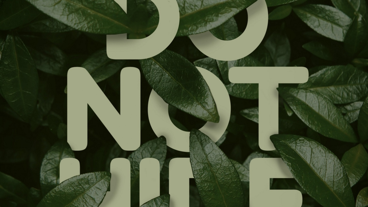 Обои любовь против дизайна, растение, наземное растение, публикация, узор в разрешении 1280x720