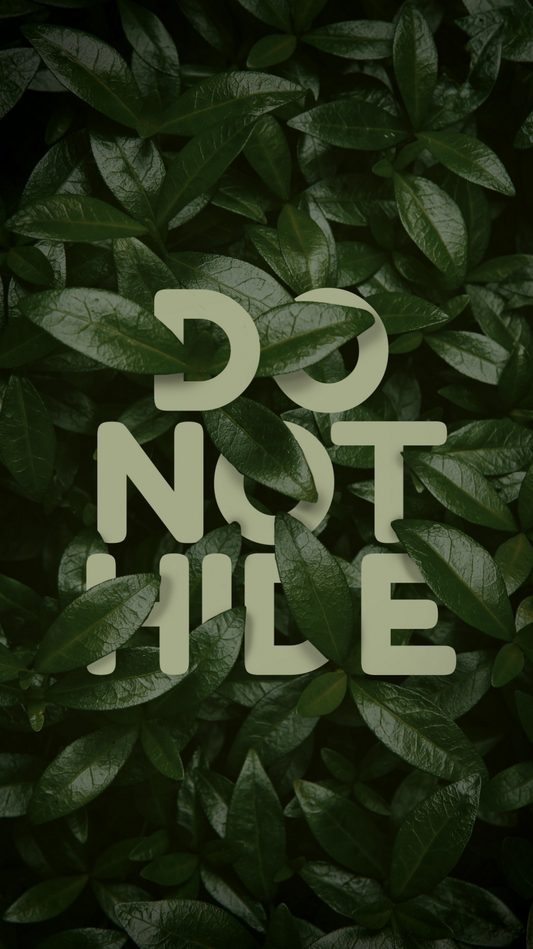 Обои любовь против дизайна, растение, наземное растение, публикация, узор в разрешении 750x1334