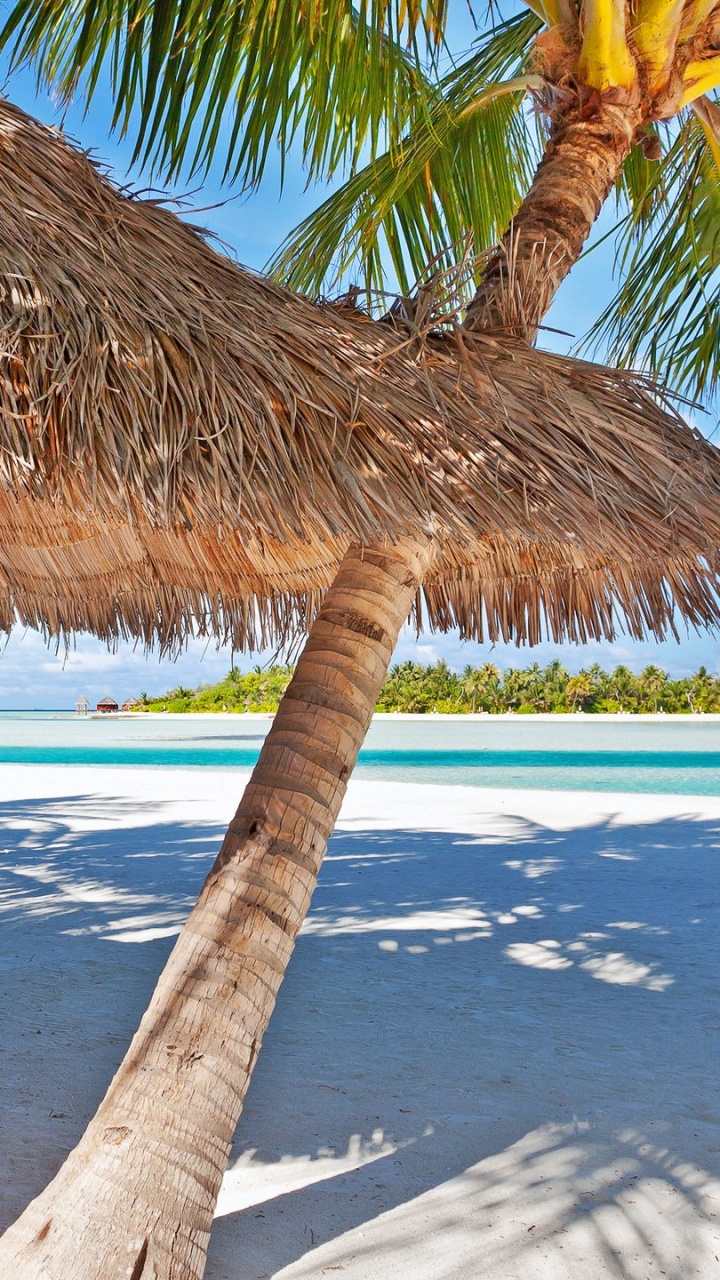 Обои Отель Naladhu Мальдивы Частный Остров, Veliganduhuraa, отпуск, пляж, прибежище в разрешении 720x1280