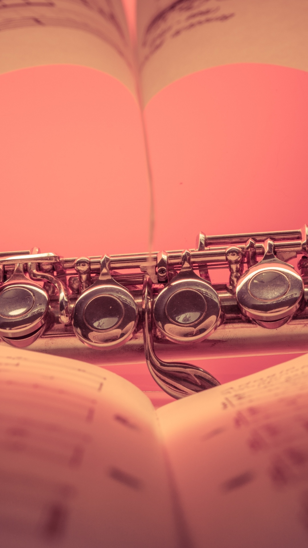 Обои флейта, музыкант, Опера, концерт, деревянный духовой инструмент в разрешении 1080x1920