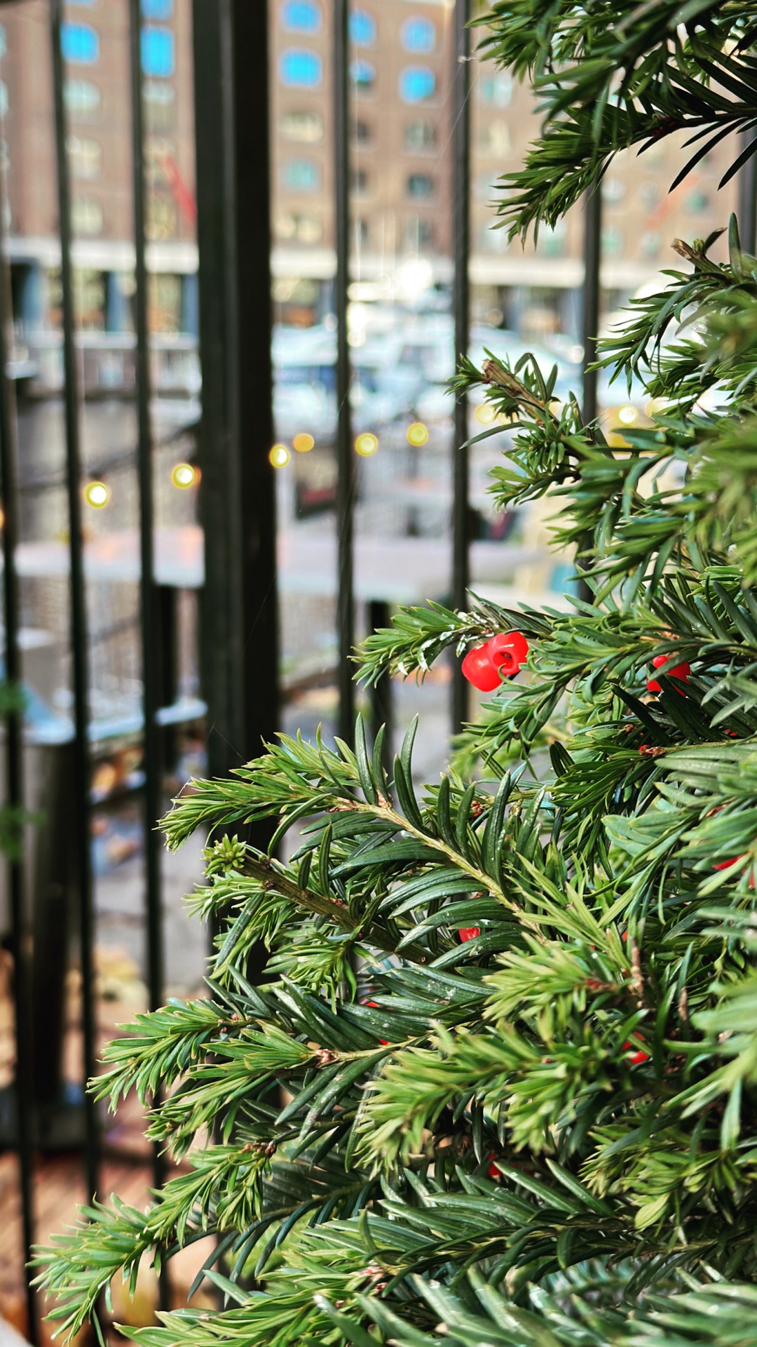 Обои лист, растение, цветок, ветвь, рождественский орнамент в разрешении 1080x1920