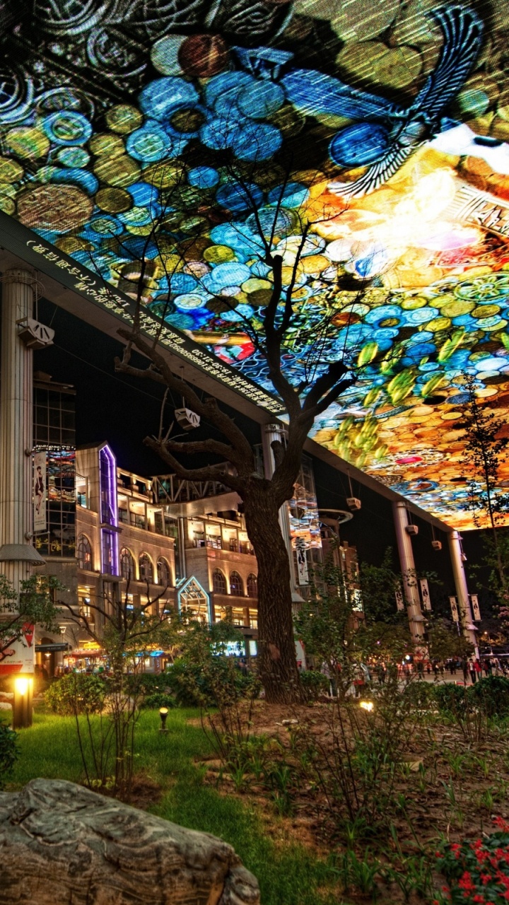 Обои дерево, ночь, городок, освещение, столица в разрешении 720x1280