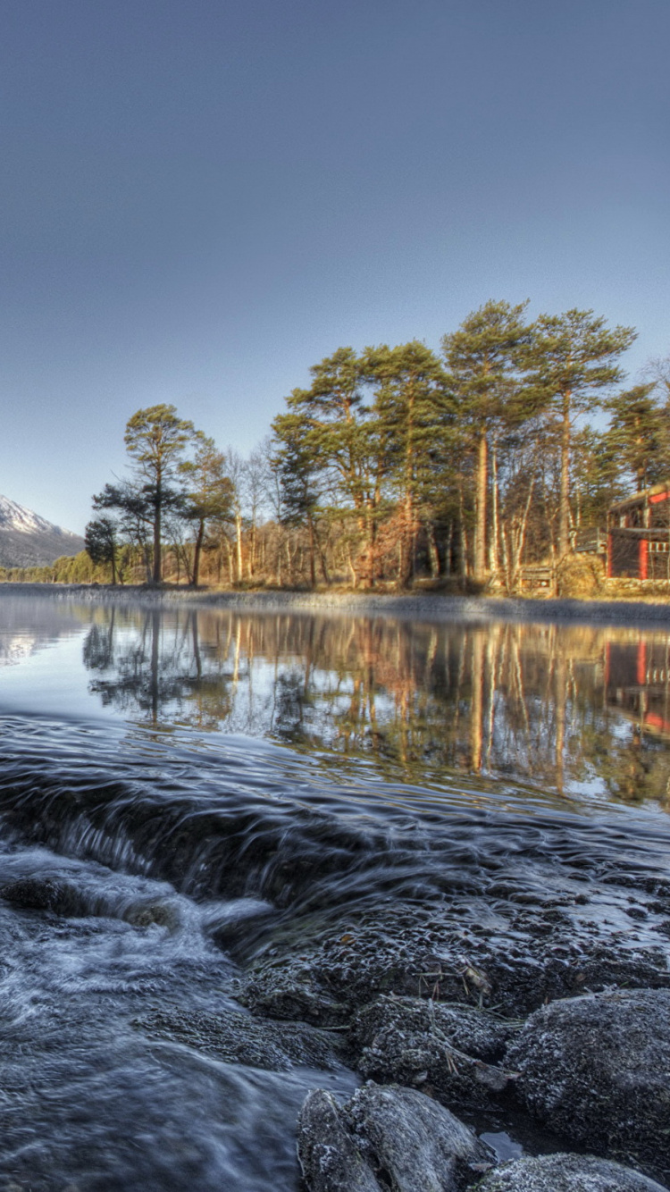 Обои пейзажная живопись, БИБЛИОТЕКА, водоем, природа, вода в разрешении 750x1334