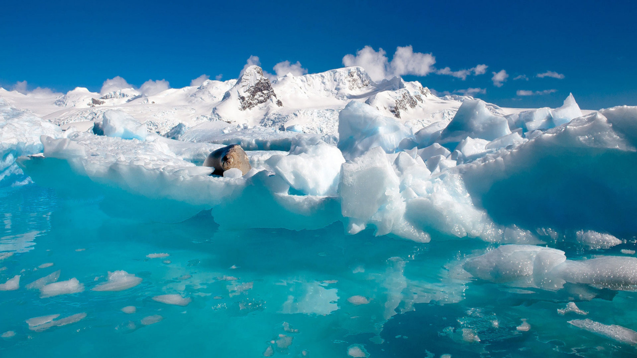 Обои лед, полярные льды, айсберг, ледниковое озеро, Северный Ледовитый океан в разрешении 1280x720