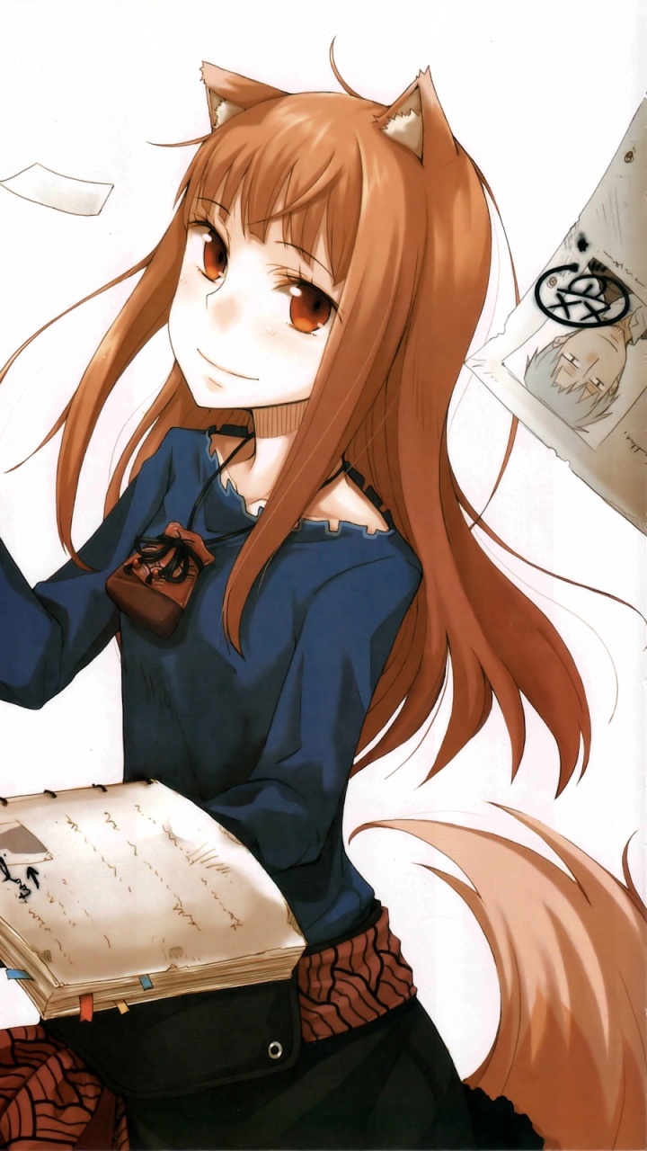 Обои специй и волк, Манга, иллюстрация, серый волк, фан арт в разрешении 720x1280