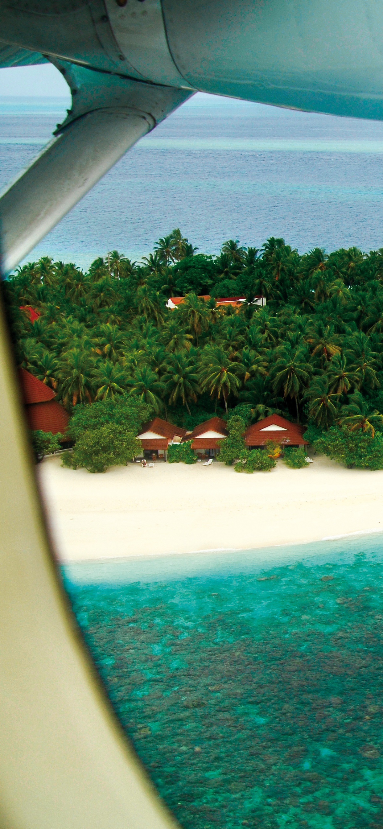 Обои вода, прибежище, тропическая зона, море, отпуск в разрешении 1242x2688