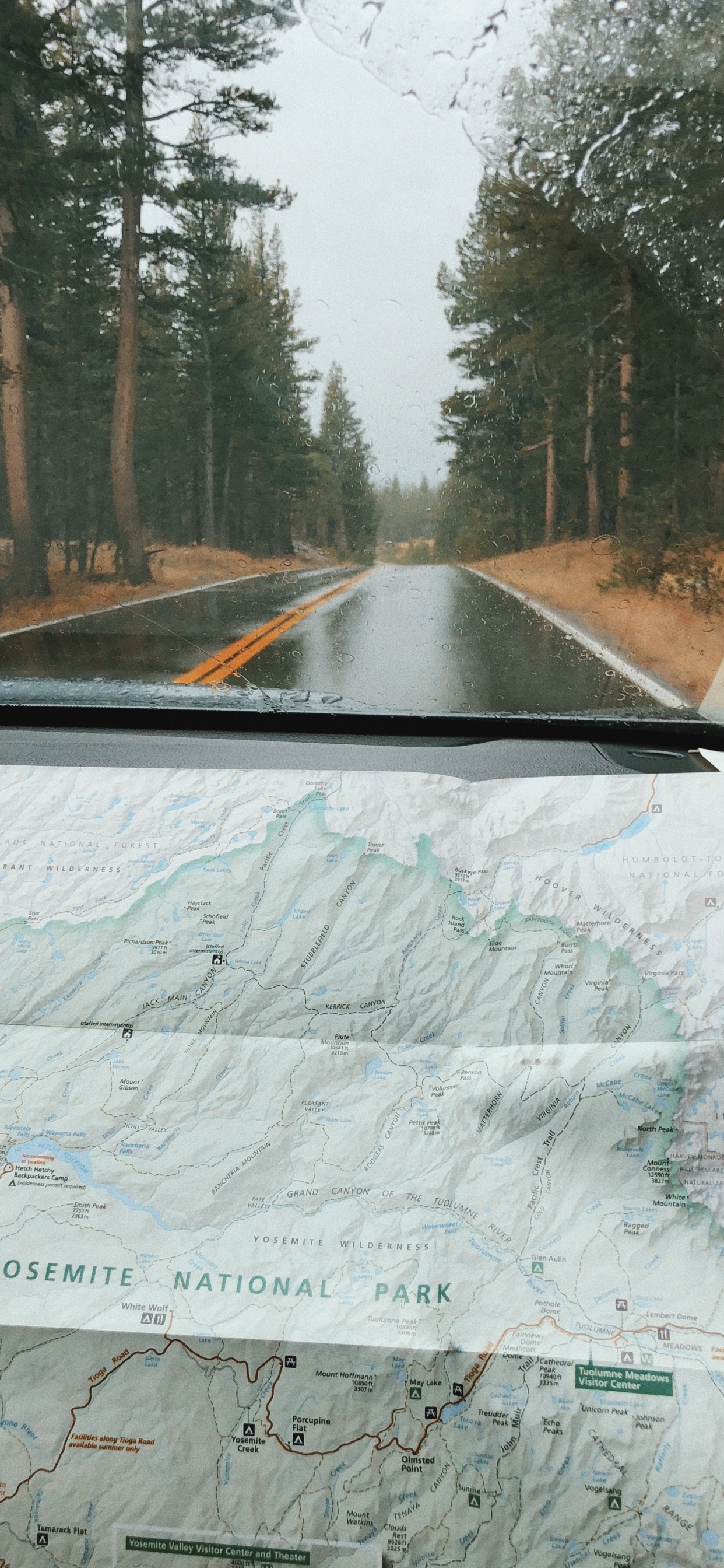 Обои дорога, ветровое стекло, дерево, инфраструктура, автомобильная часть окна в разрешении 1242x2688