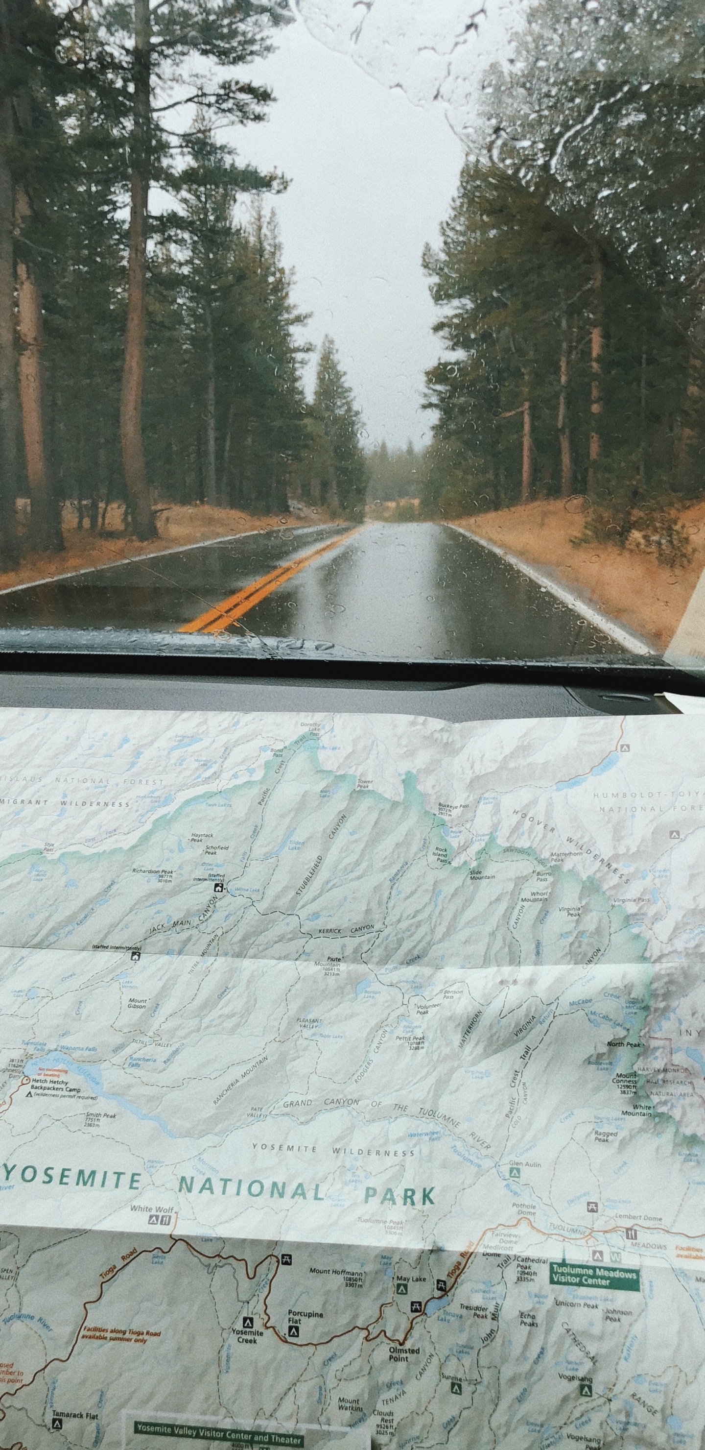 Обои дорога, ветровое стекло, дерево, инфраструктура, автомобильная часть окна в разрешении 1440x2960