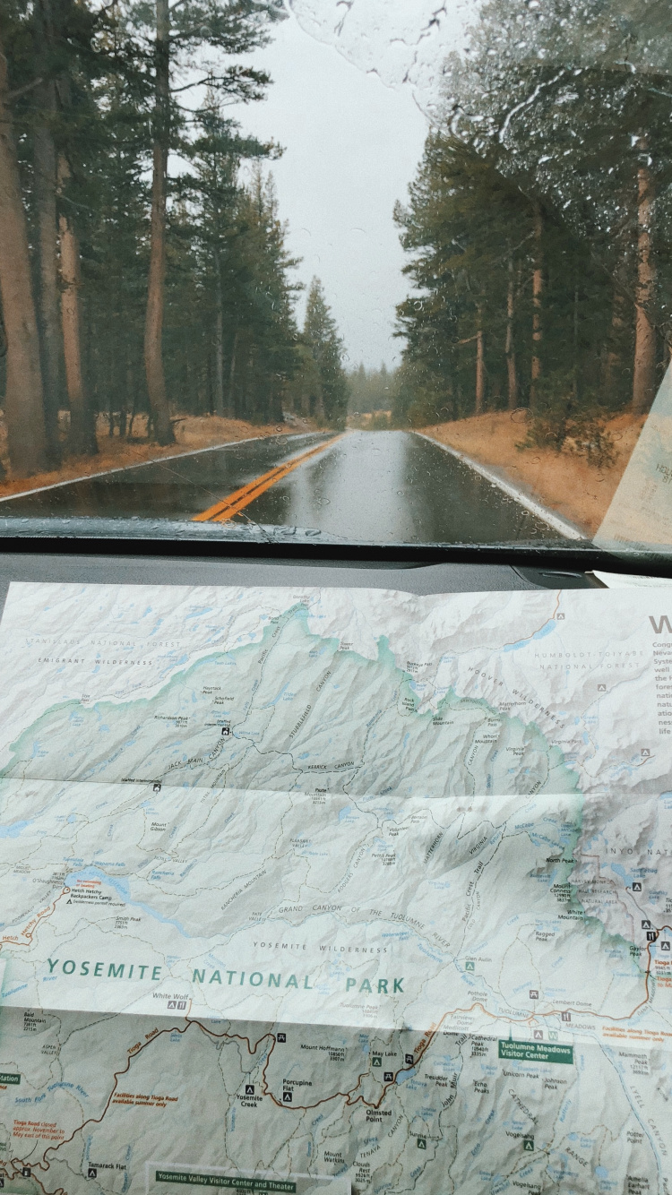 Обои дорога, ветровое стекло, дерево, инфраструктура, автомобильная часть окна в разрешении 750x1334