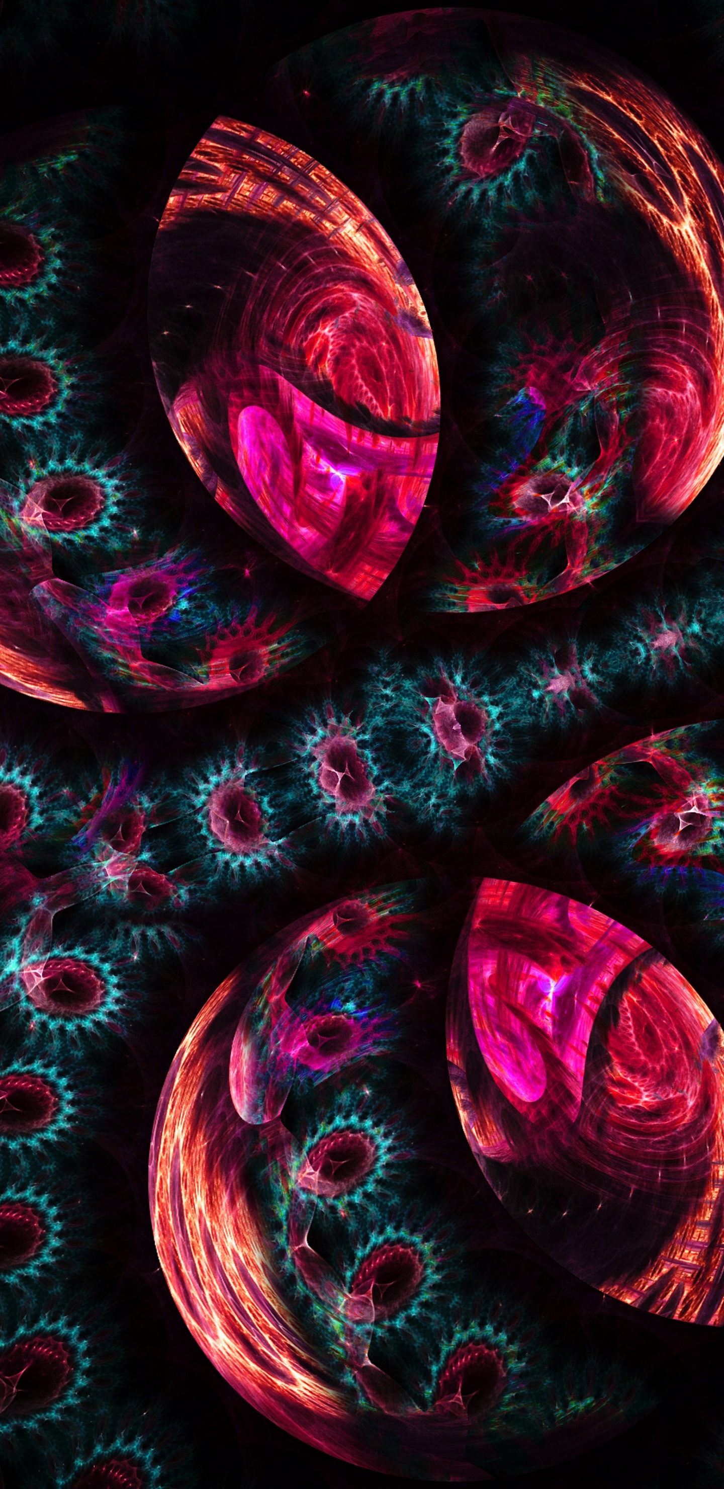 Обои графический дизайн, фрактальное искусство, дизайн, узор, крупный план в разрешении 1440x2960