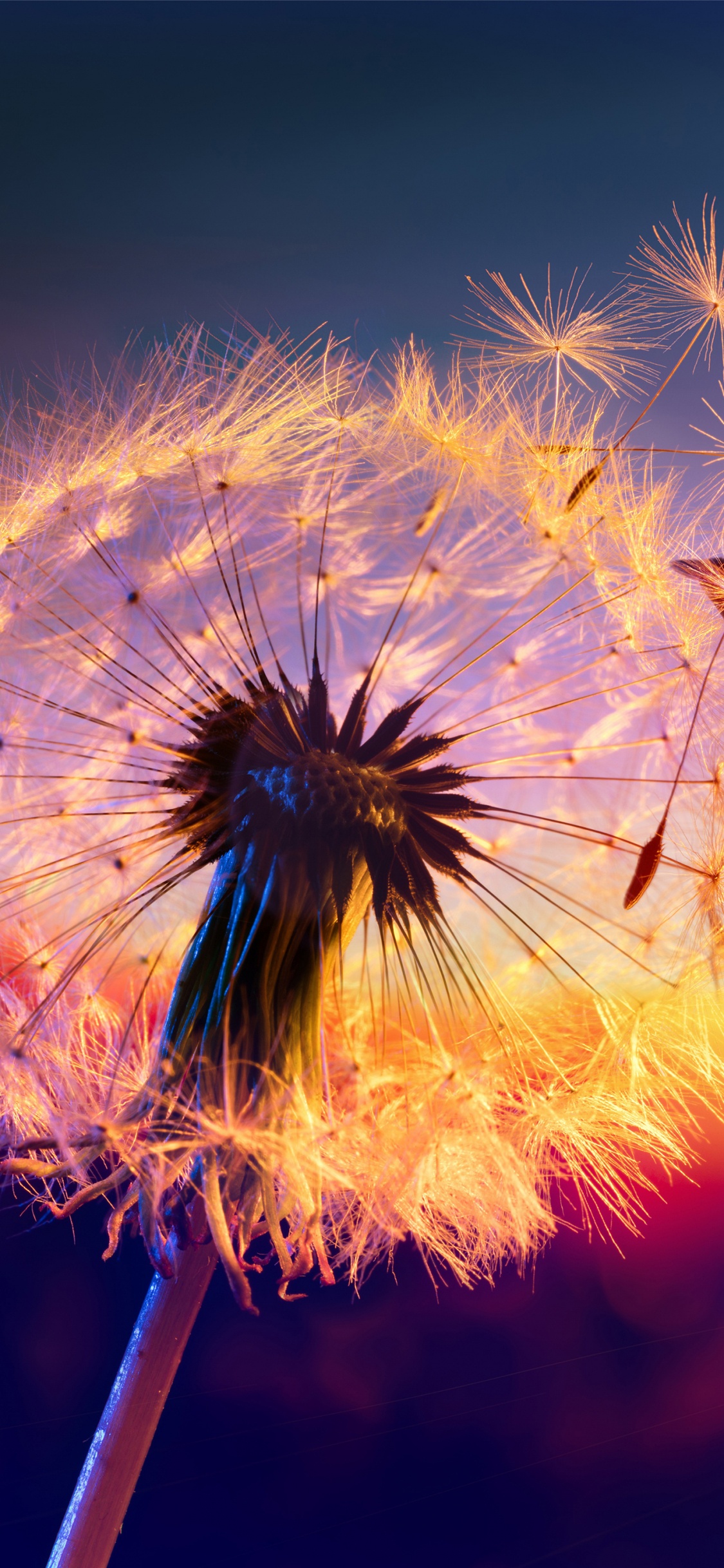 Обои soundcloud, быть никем, космический джем, восход солнца в лагуне, Варгелис в разрешении 1125x2436