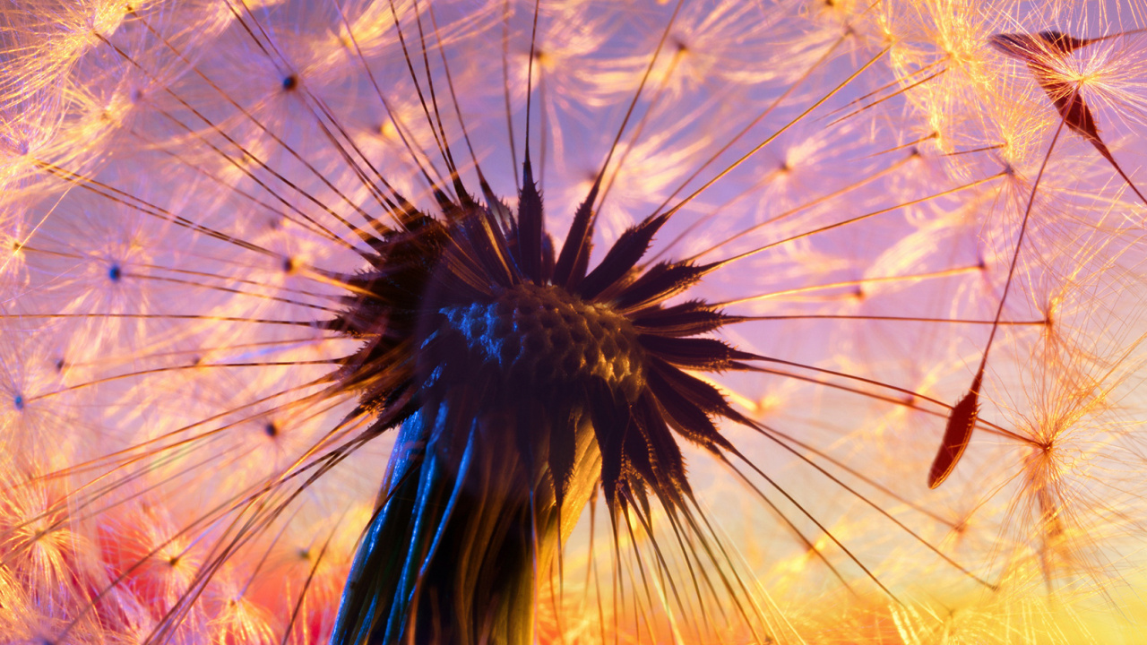 Обои soundcloud, быть никем, космический джем, восход солнца в лагуне, Варгелис в разрешении 1280x720